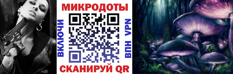 Галлюциногенные грибы Psilocybe Прокопьевск
