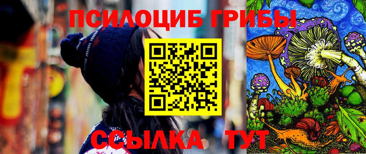 Прокопьевск  Галлюциногенные грибы MAGIC MUSHROOMS  Вход с VPN 