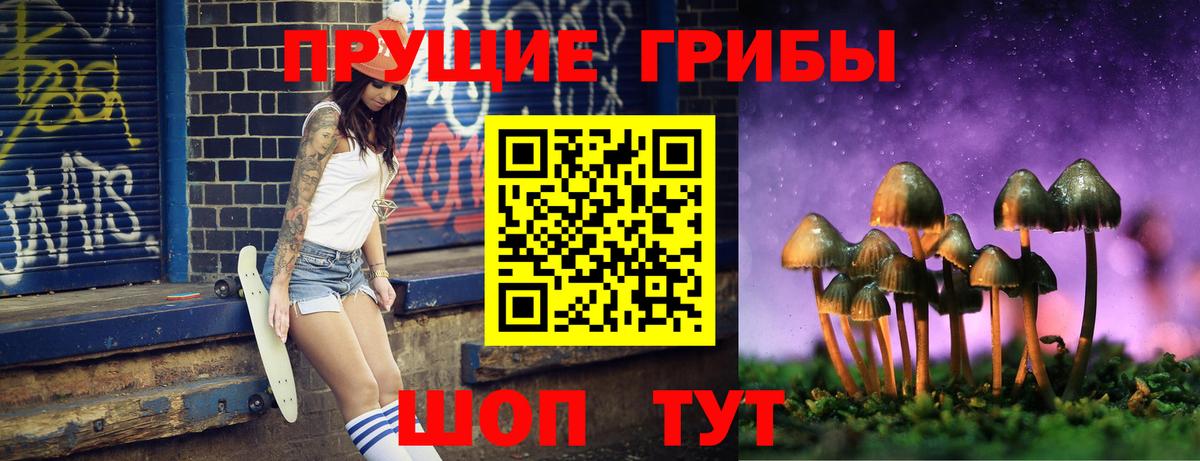 Галлюциногенные грибы Cubensis Прокопьевск